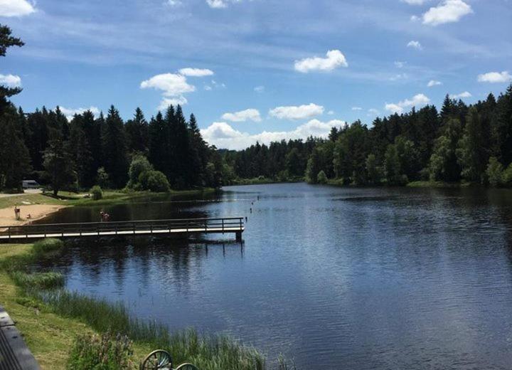 Gite Des 3 Etangs Malvières Buitenkant foto