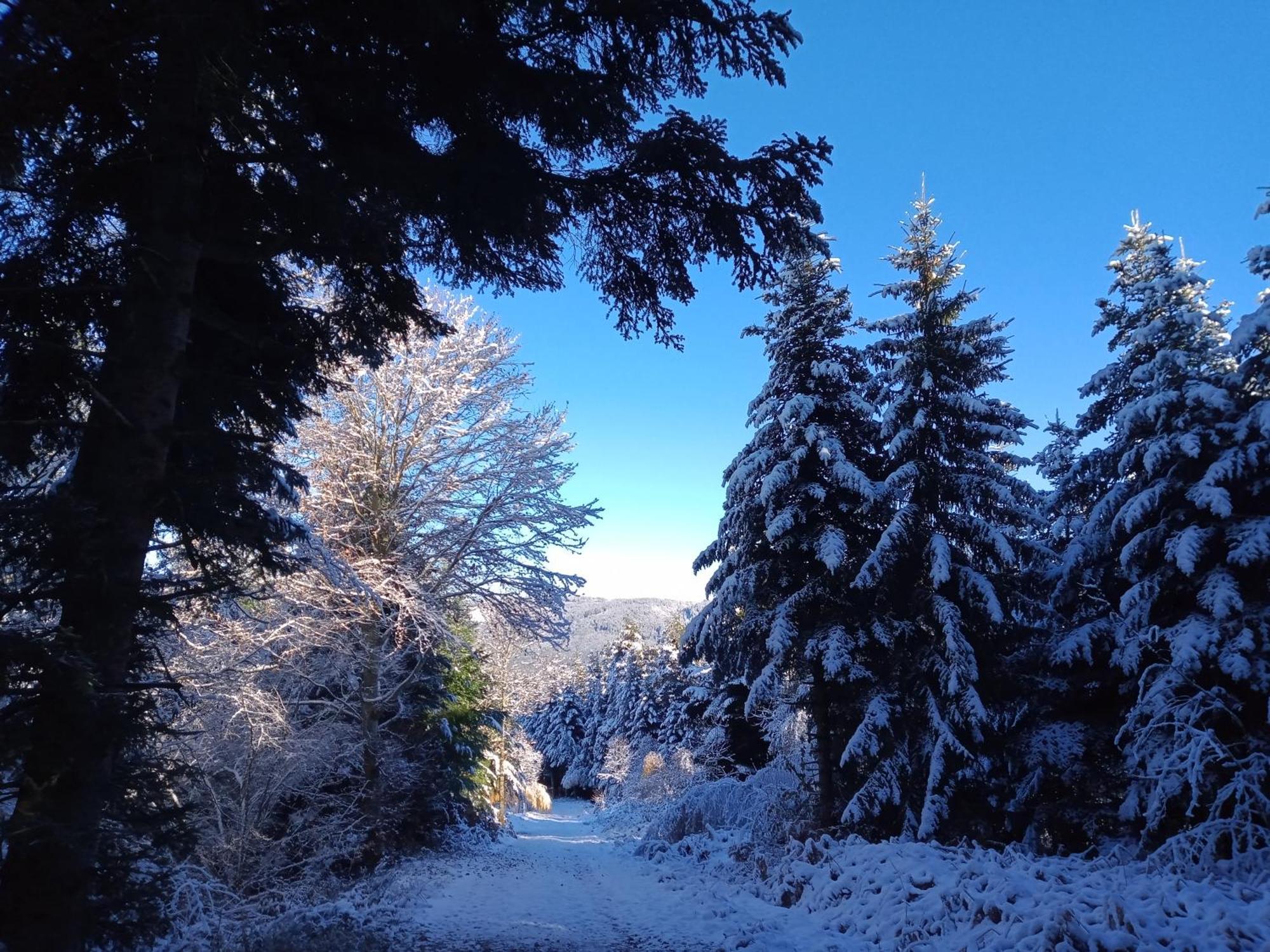 Gite Des 3 Etangs Malvières Buitenkant foto